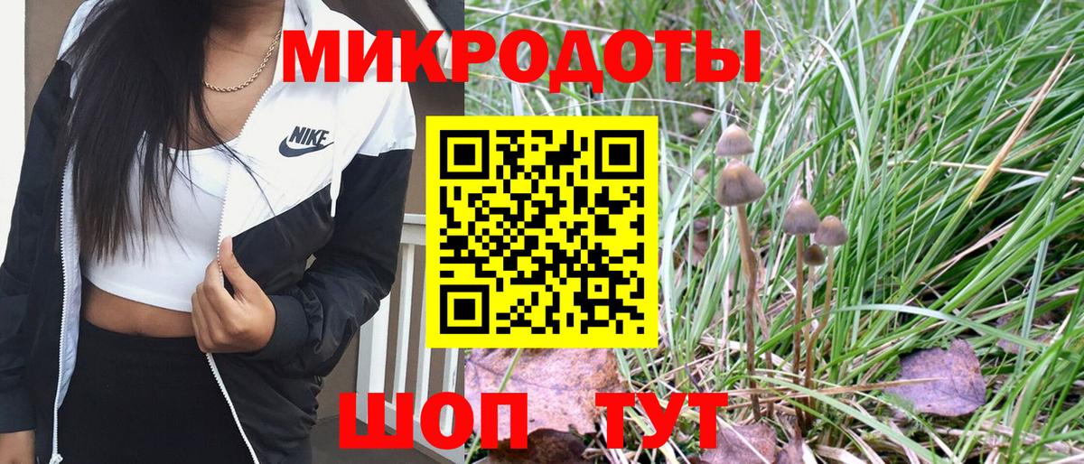 Псилоцибиновые грибы MAGIC MUSHROOMS Губаха