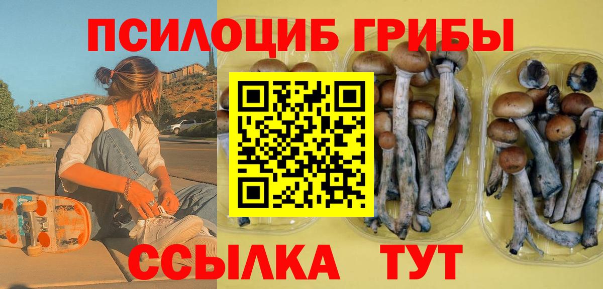 Псилоцибиновые грибы MAGIC MUSHROOMS  Вход с VPN  Губаха  Галлюциногенные грибы мицелий 